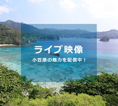 小笠原村公式サイト