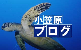 小笠原ブログ　別ウィンドウで開きます。