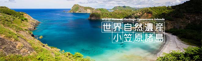 世界自然遺産　小笠原諸島