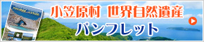 小笠原村世界自然遺産パンフレット(PDF)を別ウィンドウで開きます。