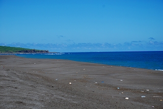 南海岸