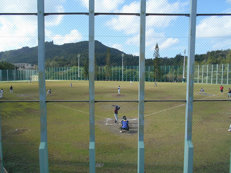 第31回 父母交流スポーツ大会 野球ヤングの試合の様子