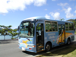 bus.jpg