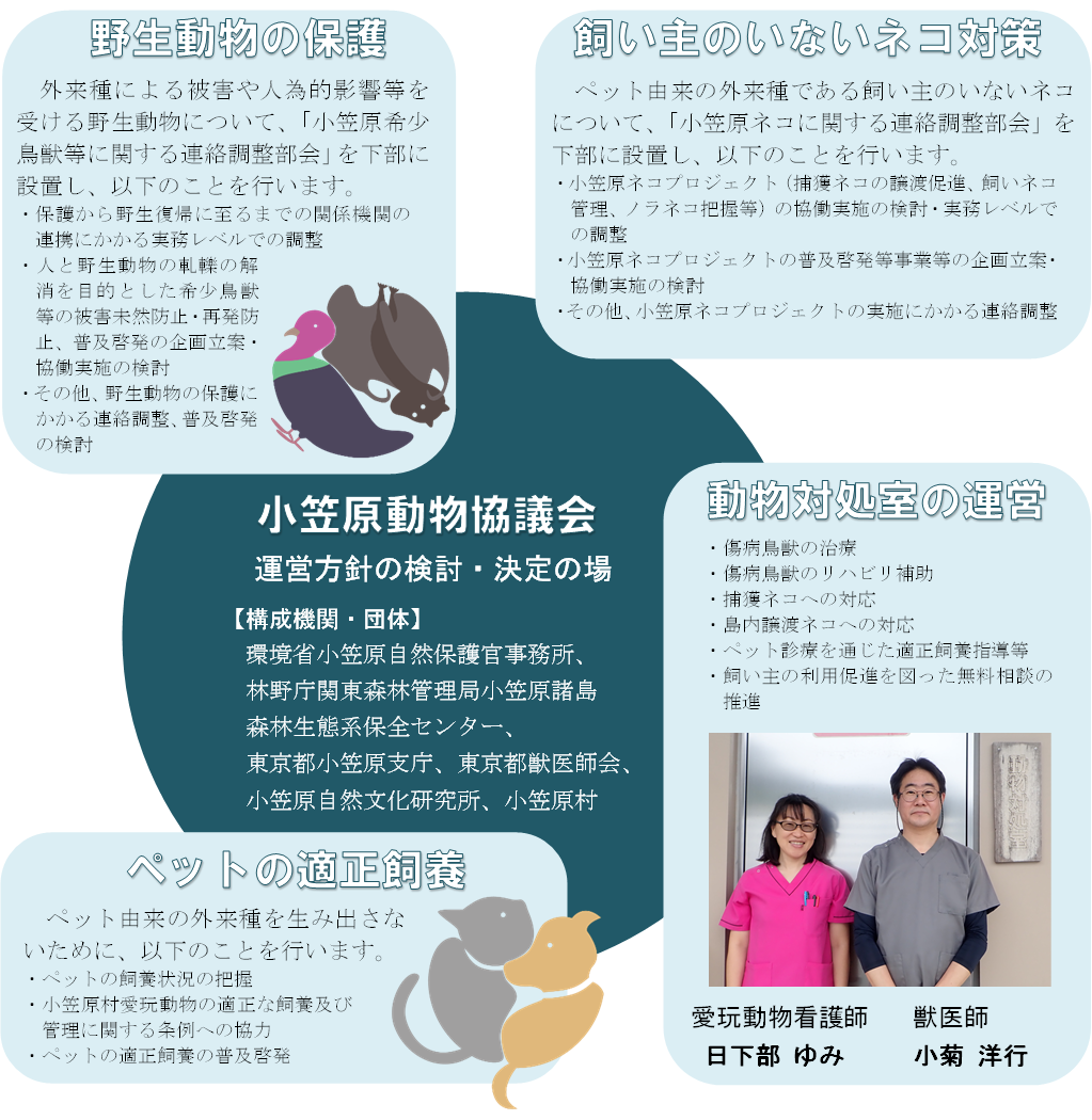 主な役割(3つ):野生動物の保護、ペットの適正飼養、飼い主のいない猫対策