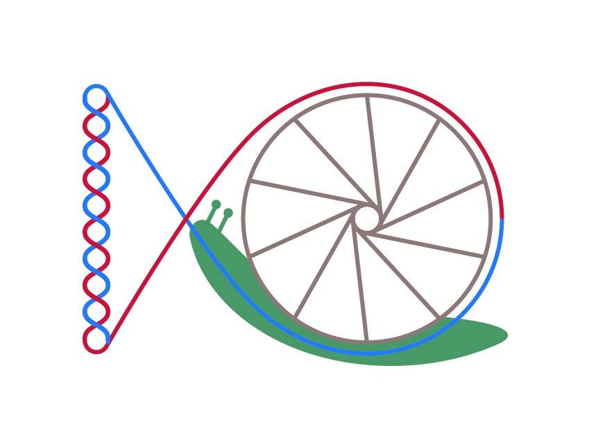 ロゴ１：フルカラーマークのみ