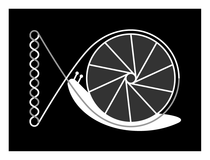 ロゴ４：モノクロ（黒地）マークのみ