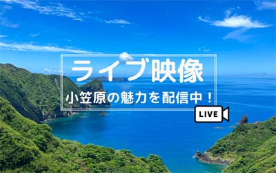 ライブ映像　小笠原の魅力を配信中！　別ウィンドウで開きます。