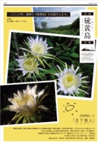第７号(２０２６年発行)